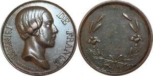R2577 Médaille Henri de France 1820-1883 Comte Chambord Rose Lys Gayrard AU