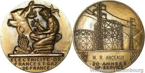 R5219 Médaille EDF Electricité de France Mr Anceaux Dropsy SUP -> Make offer