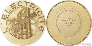 R5229 Médaille Electicité Comité Ets Verger Delporte Perrier Marcel 1955 SUP