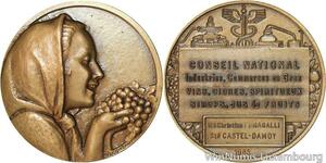 R5253 Médaille Conseil National Commerce Vins Cidres Ste Castel Damoy 1985 SUP