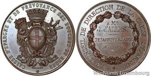 R5263 Médaille Caisse Epargne Prévoyance Bouches-du-Rhône 1896 Mr d'Allest SUP