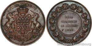 R5279 Médaille Ville Amiens Fête Nationale 14 Juillet 1888 Chevaux Ailés