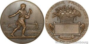 R5284 Médaille Agriculture Science Labeur Lagrange Lindauer Boeufs SUP -> Offer