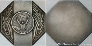 R5285 Rare Médaille Colonies Maroc Octogonale Aviation Pilote Argent Silver SUP