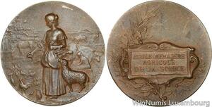 R5287 Médaille Ecole Ménagère Agricole Somme Rasumny -> Make offer