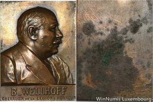 R5291 Plaque Chevalier de la Légion d'Honneur Wellhoff 1930 -> Make offer