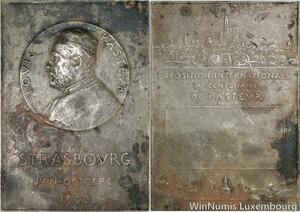 R5295 Plaque Exposition Internationale Louis Pasteur Strasbourg 1925 Silvered