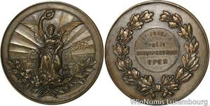 R5311 Médaille Belgique Saint Jozef 's Bercepsschool Yper SUP -> Make offer