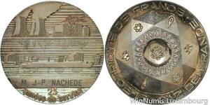R5368 Medal Electricite France Gaz France 25 ans Service JP Nachède Silvered SUP