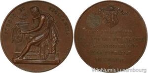 R5382 Rare Médaille Suisse Genève Studio Vigilantia 1909 Musique SUP -> M offer