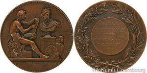 R5384 Médaille Ecole Nationale des Beaux Arts Dijon Dubois SUP -> Make offer