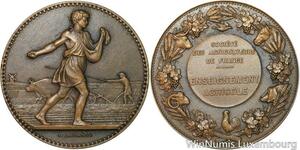 R5443 Médaille Société des Agriculteurs Enseignement Agricole Cochon Cheval SUP