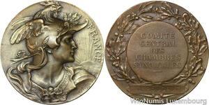 R5514 Médaille Marianne Casqué Comité Central Chambres Syndicales Roudaut SUP