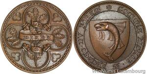 R5519 Médaille Loire Société Historique Archéologique Forez Dauphin Ailé SUP