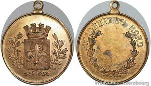 R5526 Médaille Acamédie Nord de France Fleur de Lis SUP -> Make offer