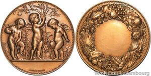 R5531 Médaille 3 Anges Arrosent le Jardin Nature Ecologie SUP -> Make offer