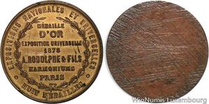 R5545 Médaille d'Or Uniface Exposition Universelle 1878 Rodolphe et Fils Paris