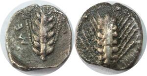 EE0223 Rare Greek Lucanie Metaponte Obole Double face ME Epi Blé 510-490 BC