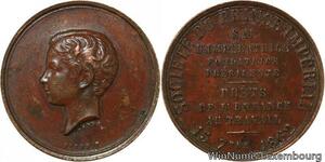 R9715 Médaille Napoléon IV fils Napoléon III Société Prince Impérial 1862 >Offer
