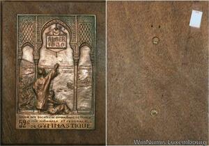 S8794 Rare Plaque Colonie Française Algerie 1930 Alger sur bois SUP