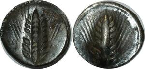 O1007 Lucanie Metaponte Nomos Statère Grain Blé Incuse 510-490 av JC Argent